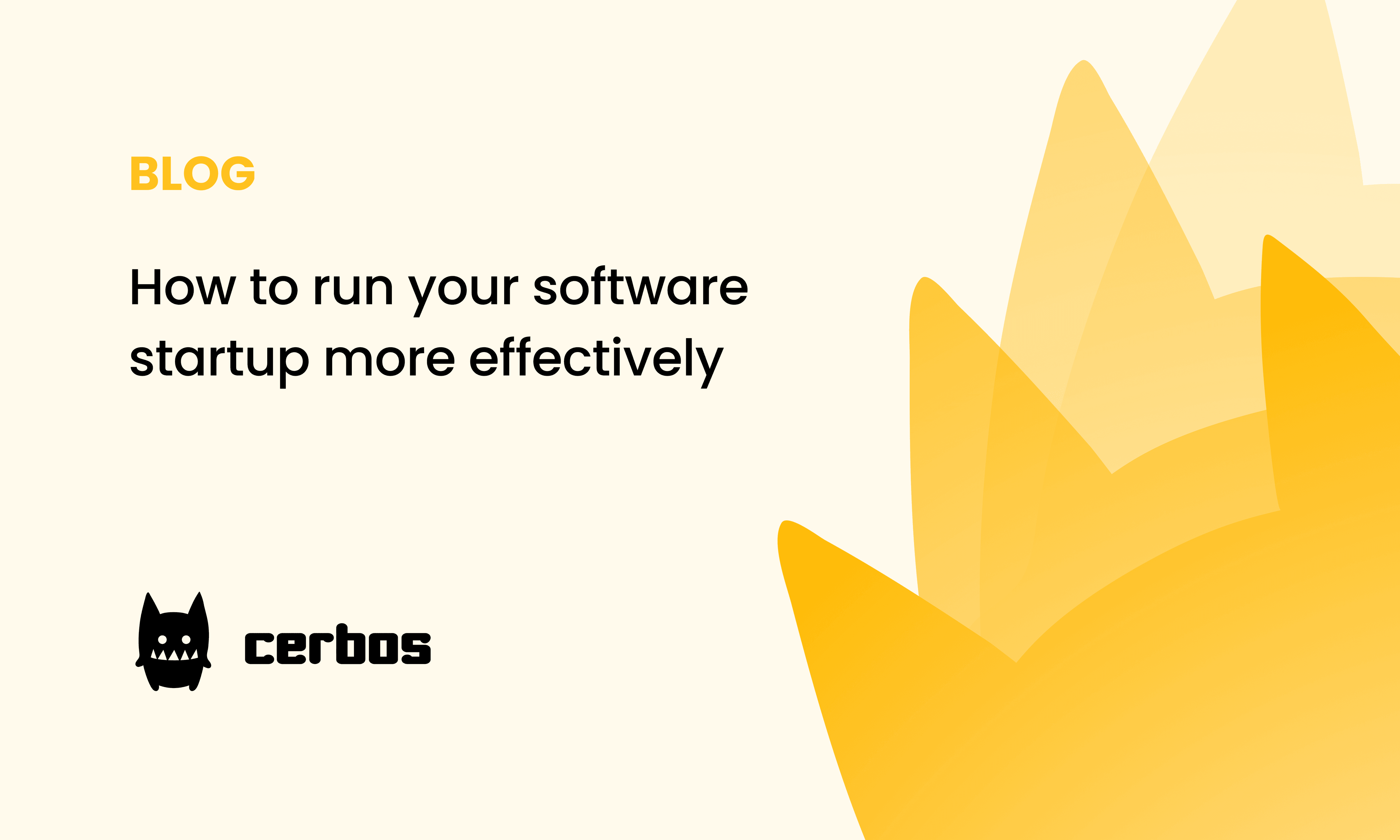 How to run your software startup more effectively