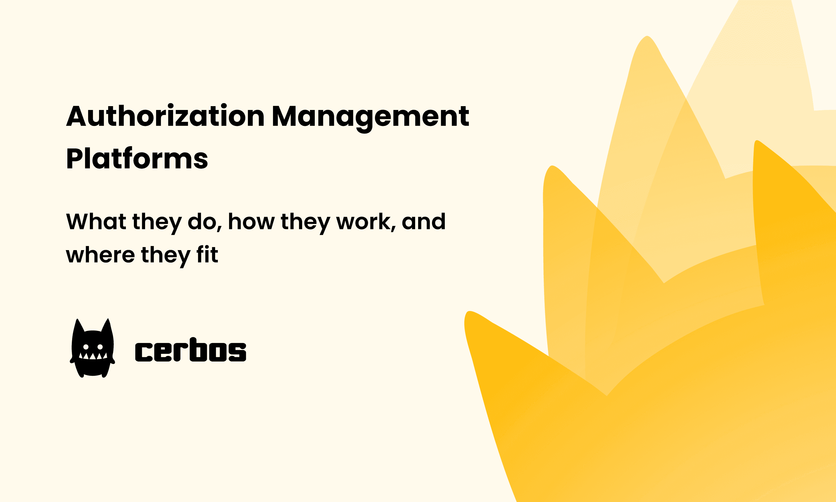 Authorization Management Platforms: what they do, how they work, and where they fit