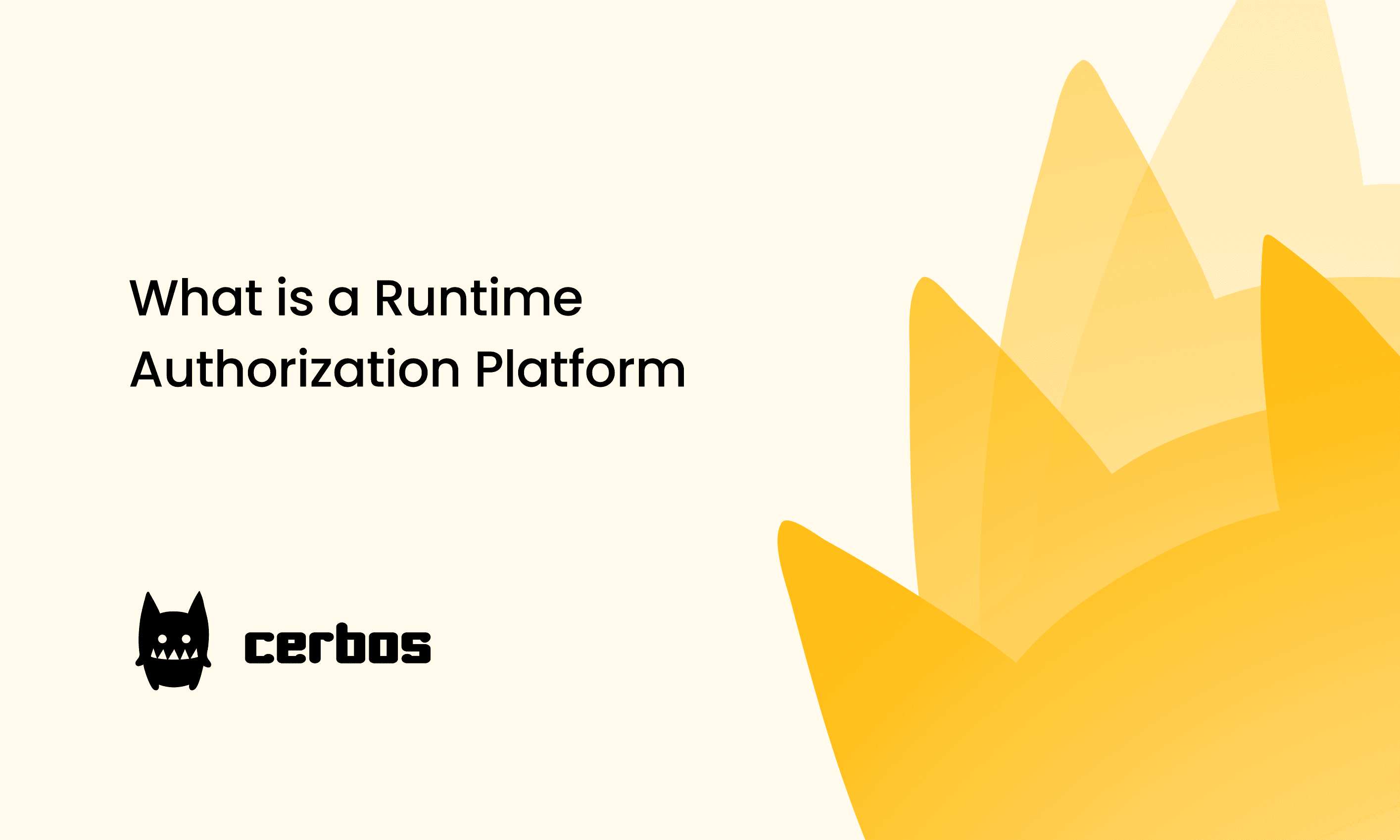 What is a Runtime Authorization Platform