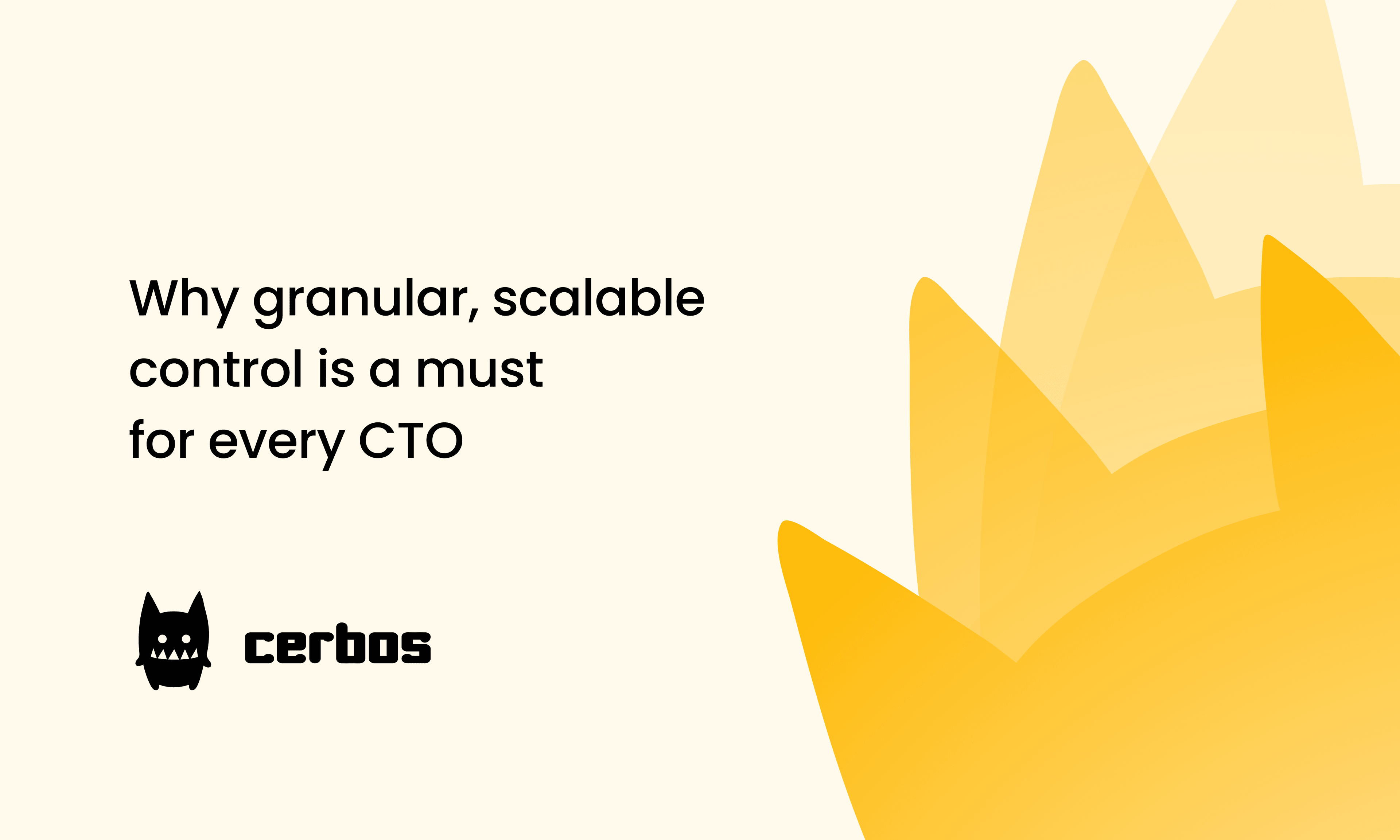 Why granular, scalable control is a must for every CTO