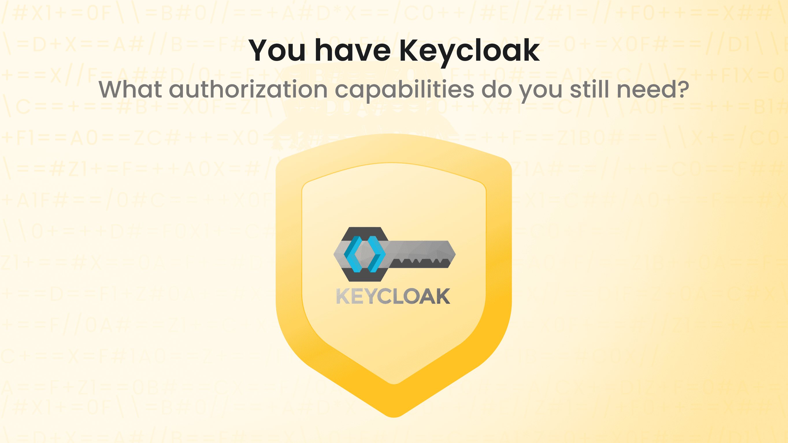 You have Keycloak. What authorization capabilities do you still need?