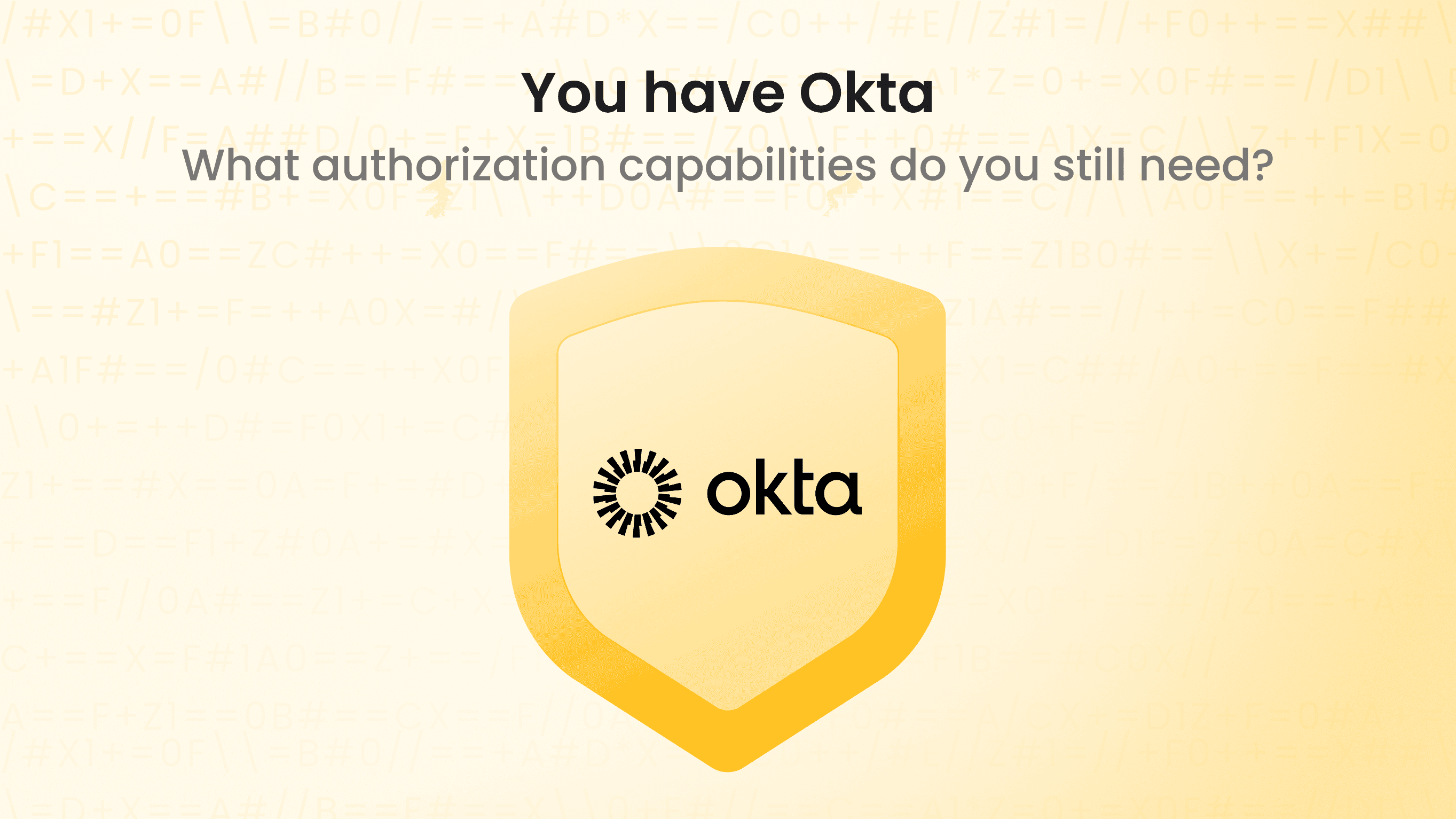 You have Okta. What authorization capabilities do you still need?