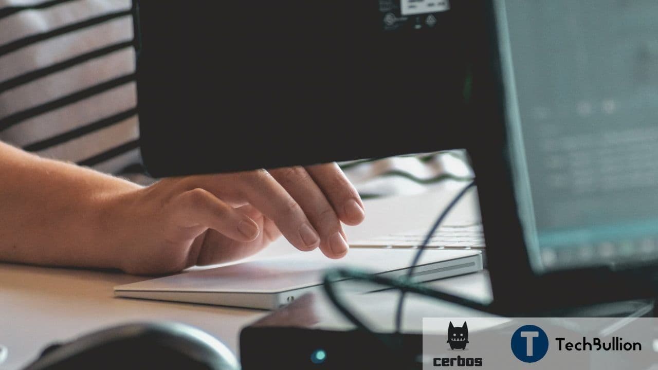 Unlocking cybersecurity: A deep dive into authentication vs authorization in software development