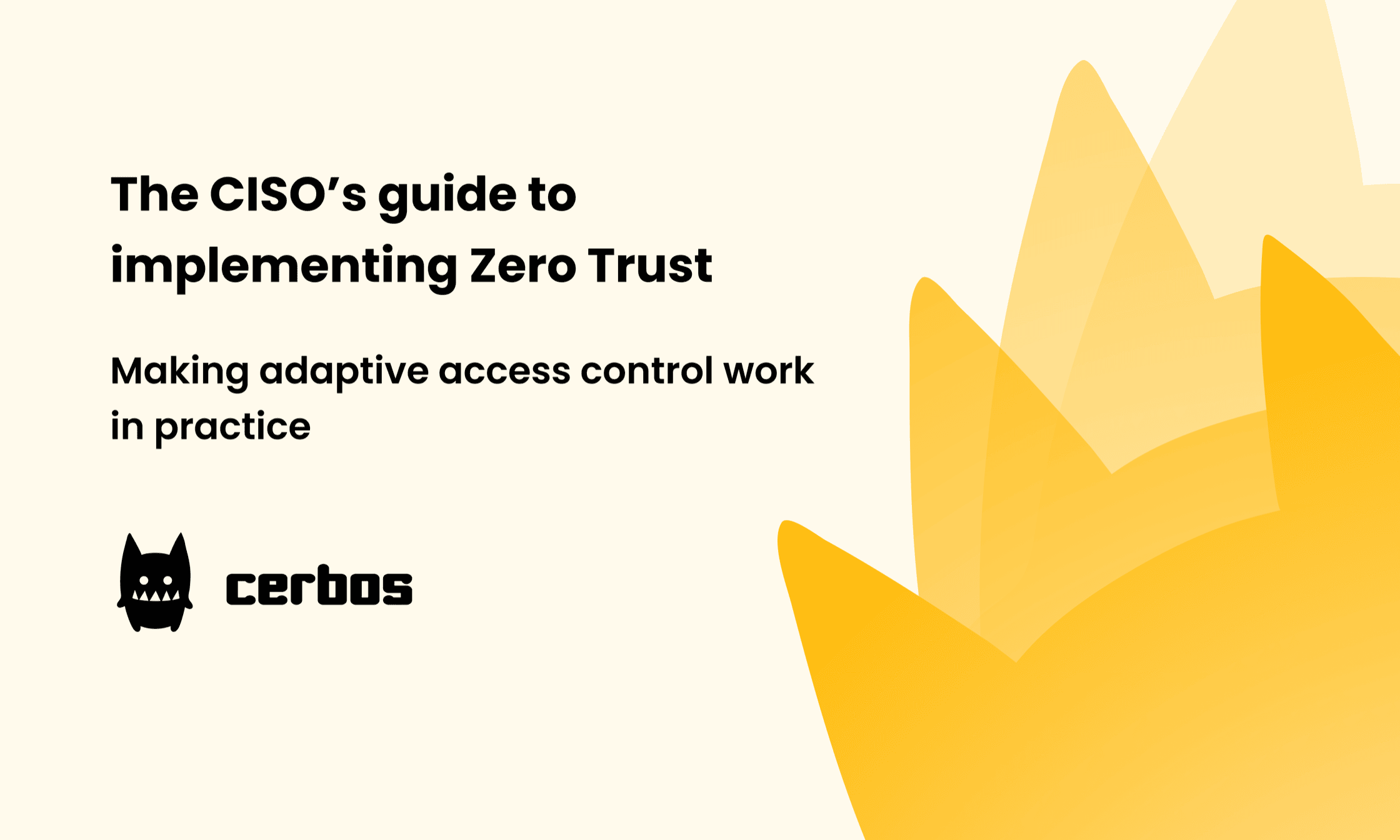Adaptive authentication and authorization
